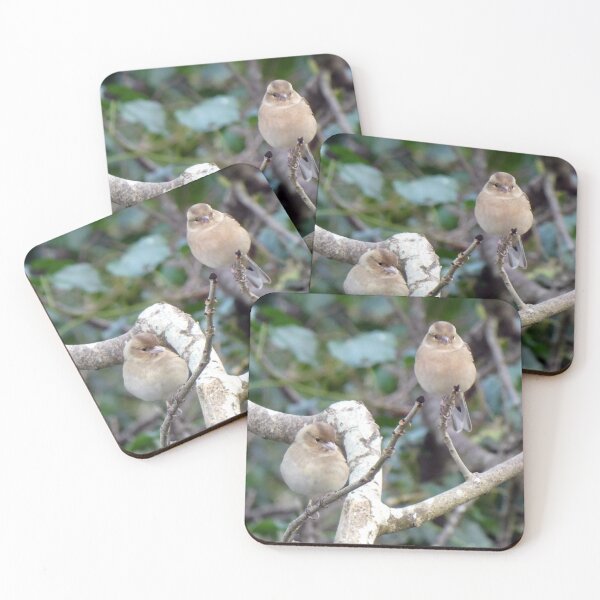 Item preview, 2 of a kind designed and sold by KathleenDawson.