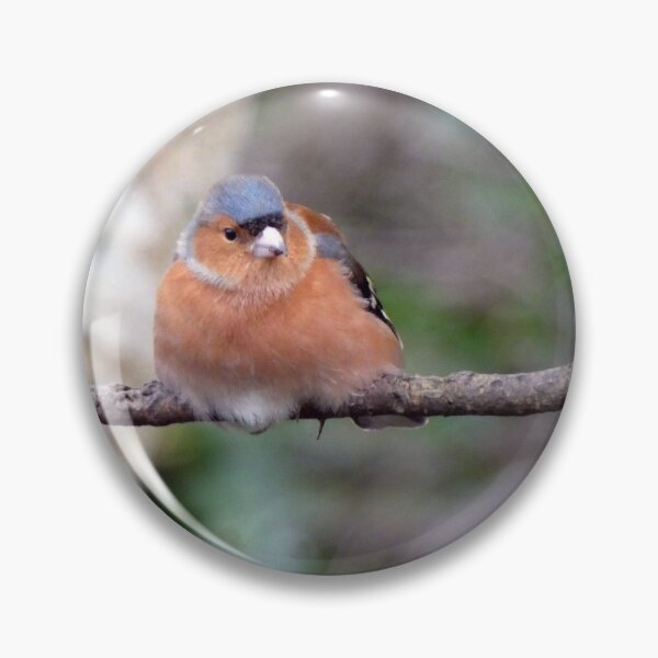 Item preview, chaffinch designed and sold by KathleenDawson.