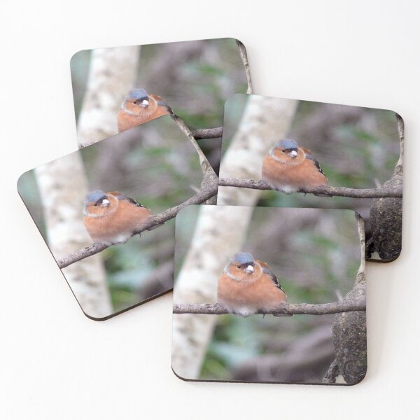 Item preview, chaffinch designed and sold by KathleenDawson.