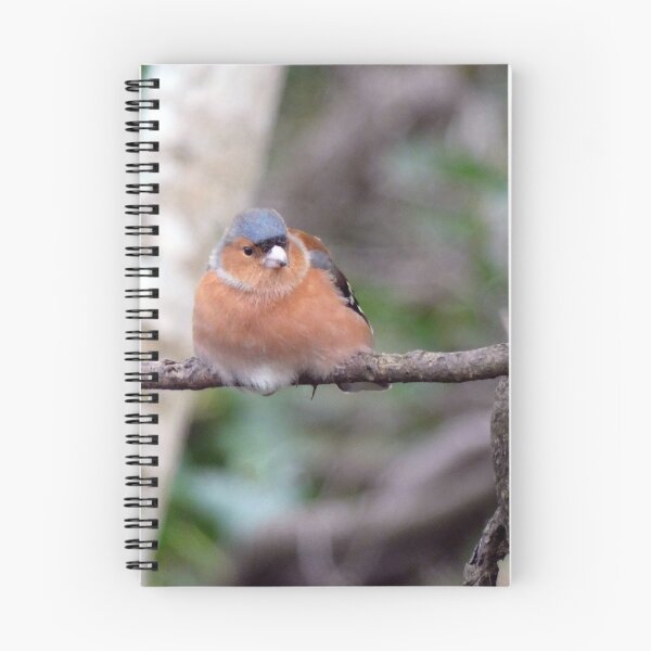 Item preview, chaffinch designed and sold by KathleenDawson.