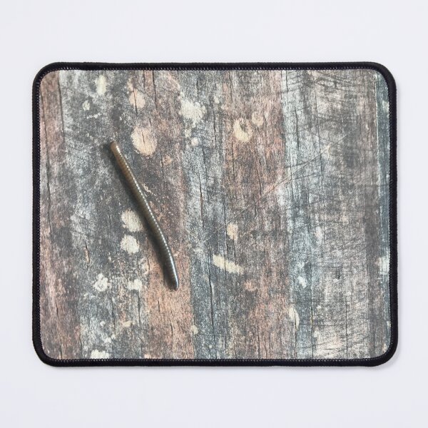 Item preview, Millipede on Distressed Wood designed and sold by Savage68.