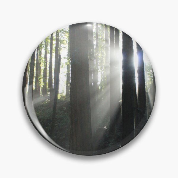 Item preview, Sun breaking through trees designed and sold by grey-hand-art.
