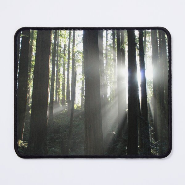 Item preview, Sun breaking through trees designed and sold by grey-hand-art.