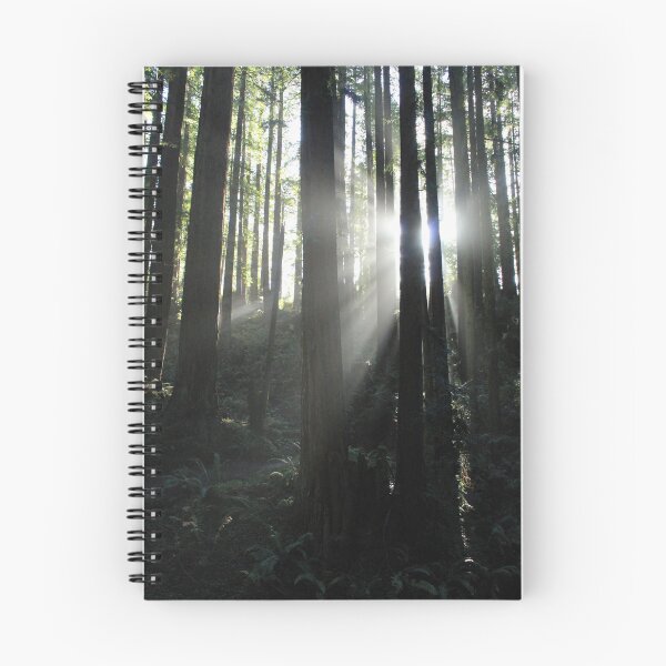 Item preview, Sun breaking through trees designed and sold by grey-hand-art.