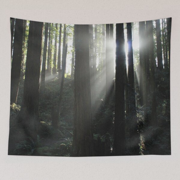 Item preview, Sun breaking through trees designed and sold by grey-hand-art.