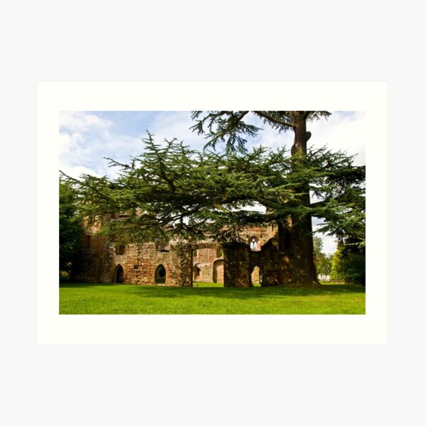 Acton Burnell Castle #2 Art Print