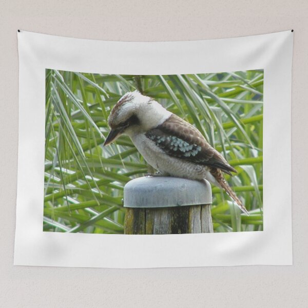 Item preview, Kookaburra on Telegraph Pole designed and sold by MottoDigging.