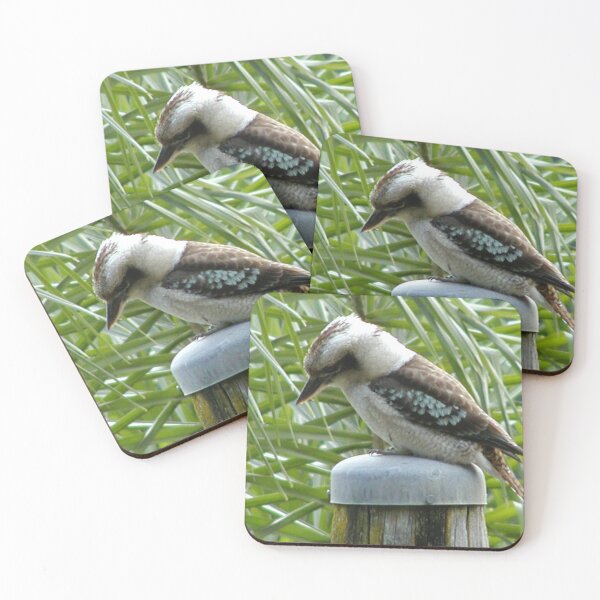 Item preview, Kookaburra on Telegraph Pole designed and sold by MottoDigging.