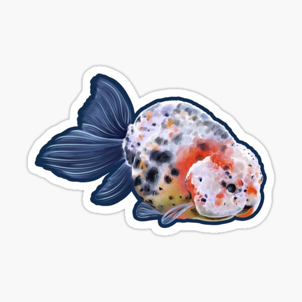 Goldfish Sticker Sticker