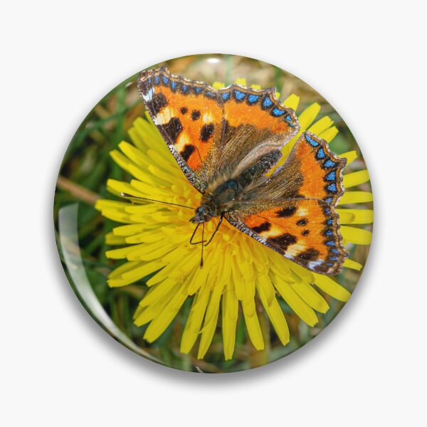 Item preview, Dandelion and Butterfly  designed and sold by Dalyndigital Photography.