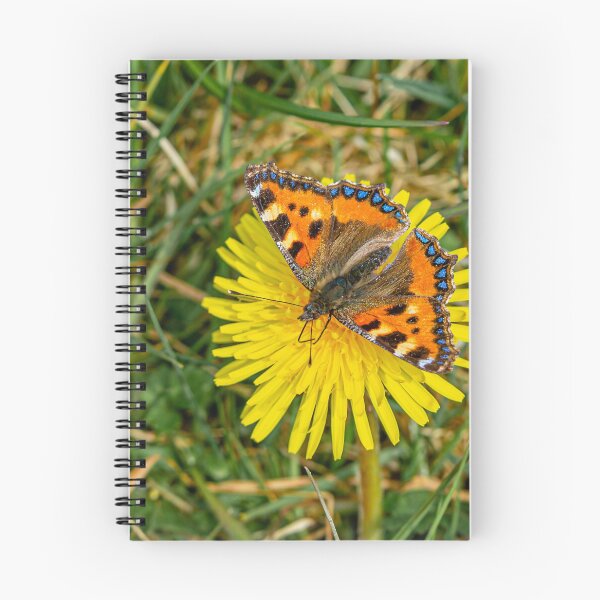 Item preview, Dandelion and Butterfly  designed and sold by Dalyndigital Photography.