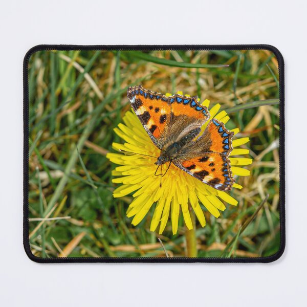 Item preview, Dandelion and Butterfly designed and sold by Dalyndigital Photography.