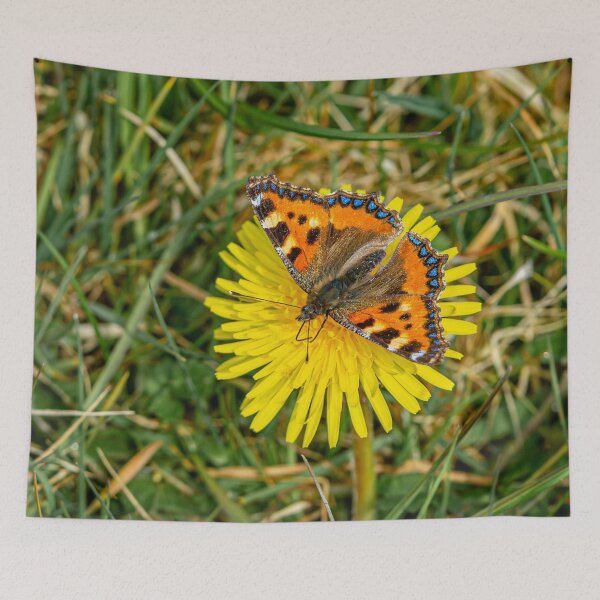 Item preview, Dandelion and Butterfly  designed and sold by Dalyndigital Photography.
