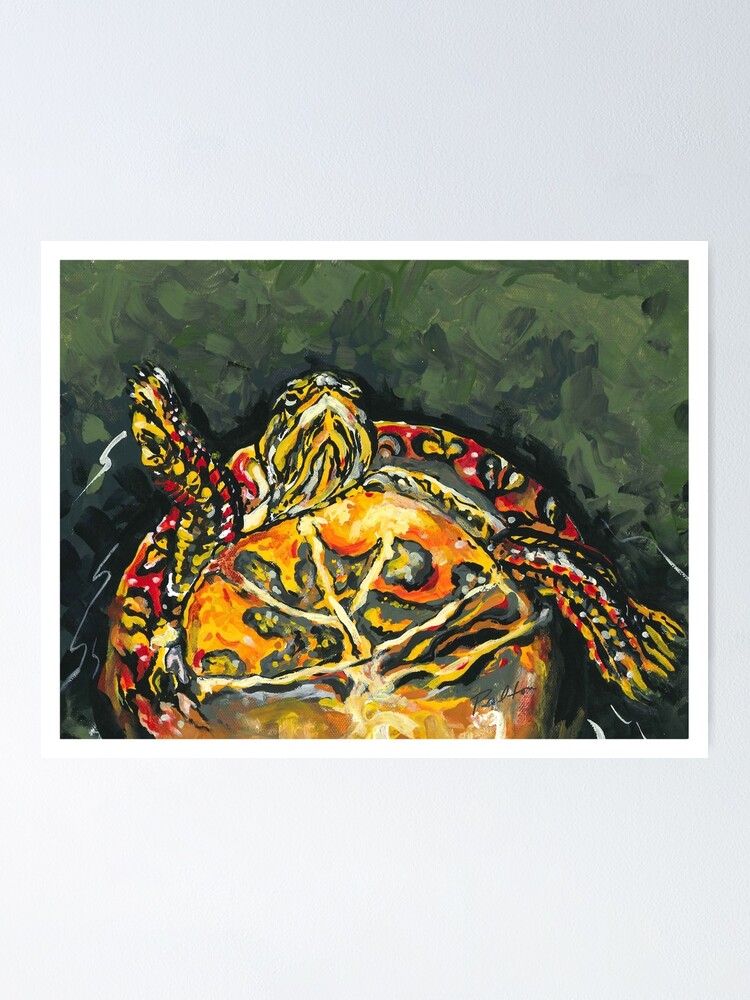 Thumbnail 1 of 3, Poster, Michigan Painted Turtle designed and sold by ROBINPELTON.