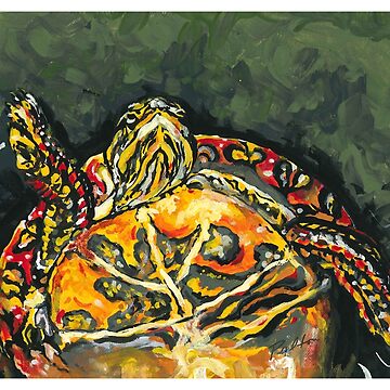 Artwork thumbnail, Michigan Painted Turtle by Robin (Rob) Pelton