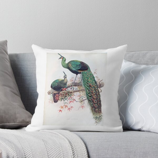 Artikelvorschau, Schöner Pfau, Pfau entworfen und verkauft von AfricanArtShop.