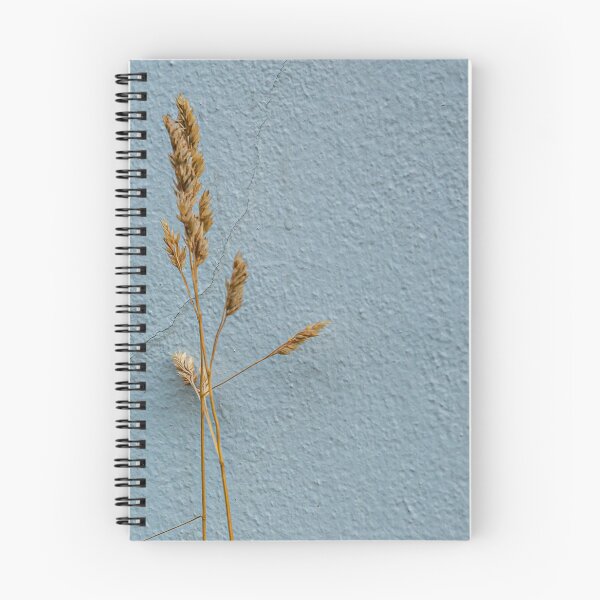 Item preview, Just a simple seed head against a simple wall designed and sold by Dalyndigital Photography.