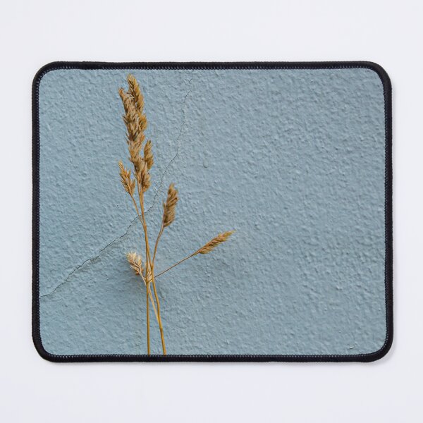 Item preview, Just a simple seed head against a simple wall designed and sold by Dalyndigital Photography.