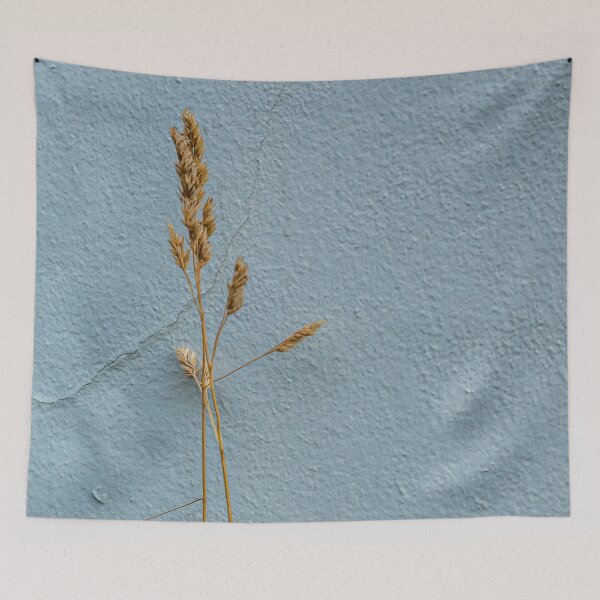 Item preview, Just a simple seed head against a simple wall designed and sold by Dalyndigital Photography.