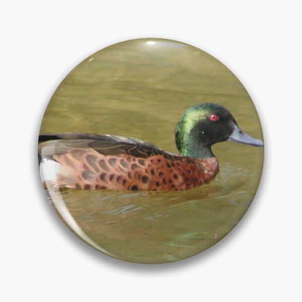 Item preview, Australian Chestnut Teal Duck Male designed and sold by MottoDigging.