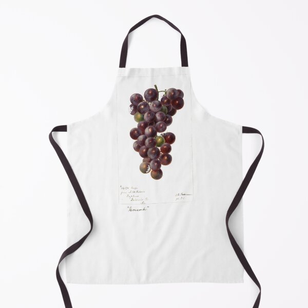 Artikelvorschau, wein vintage illustration von weintrauben in blau rot obst entworfen und verkauft von originalstar.