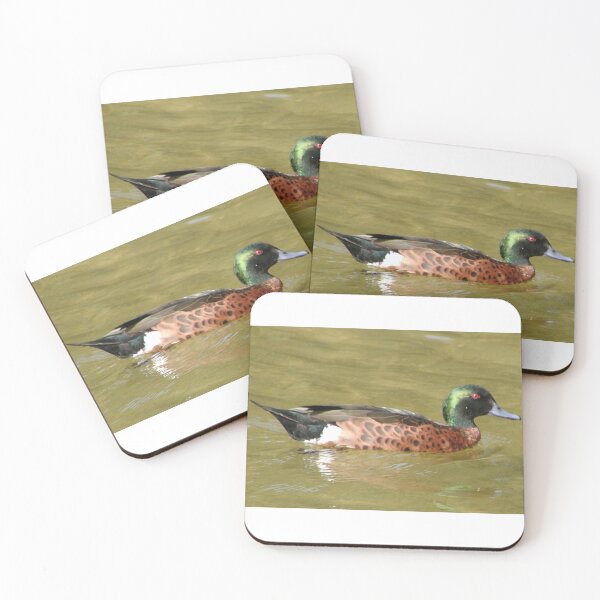 Item preview, Australian Chestnut Teal Duck Male designed and sold by MottoDigging.