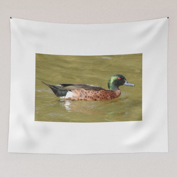 Item preview, Australian Chestnut Teal Duck Male designed and sold by MottoDigging.