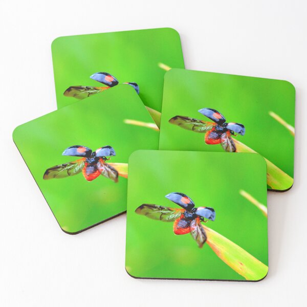 Item preview, Ladybird photo with high resolution quality designed and sold by Allyouneed-2.