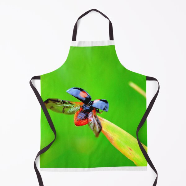 Item preview, Ladybird photo with high resolution quality designed and sold by Allyouneed-2.