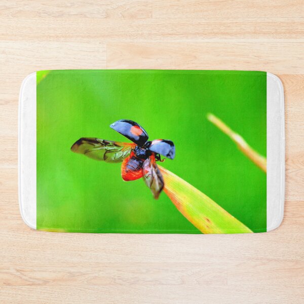 Item preview, Ladybird photo with high resolution quality designed and sold by Allyouneed-2.