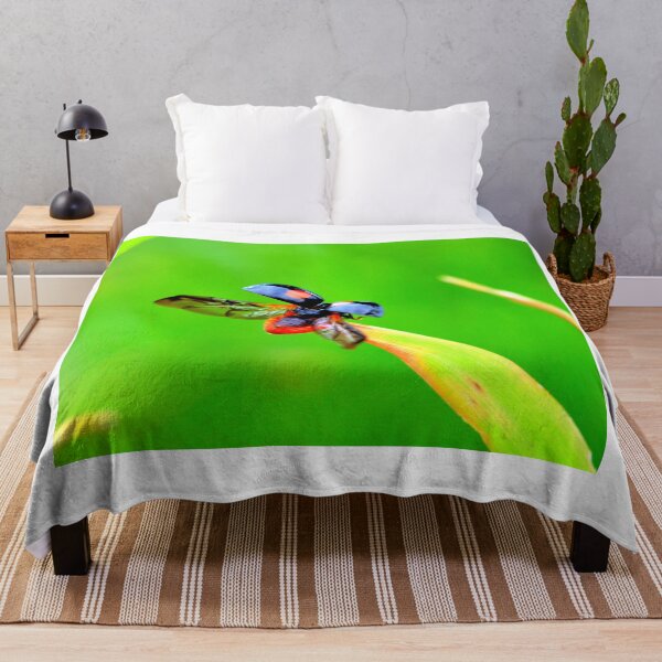 Item preview, Ladybird photo with high resolution quality designed and sold by Allyouneed-2.