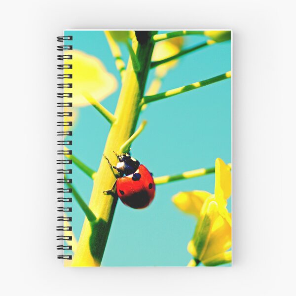 Item preview,  Ladybird photo with high resolution quality designed and sold by Allyouneed-2.