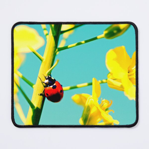 Item preview,  Ladybird photo with high resolution quality designed and sold by Allyouneed-2.