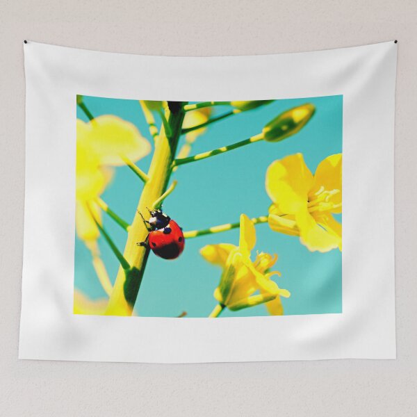 Item preview,  Ladybird photo with high resolution quality designed and sold by Allyouneed-2.