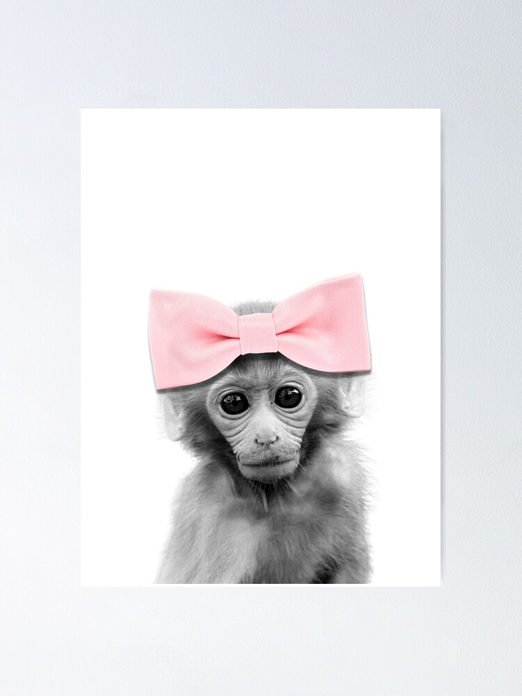 Baby Monkey, Posters, Art Prints, Wall Murals