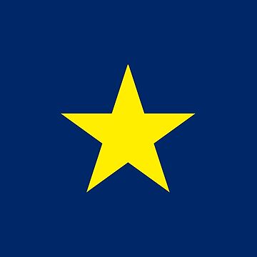 The Burnet Flag (Flag of Texas 1836-1839)