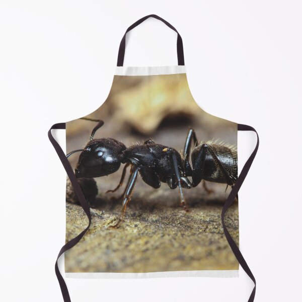 Item preview, ant photo with high resolution quality designed and sold by Allyouneed-2.