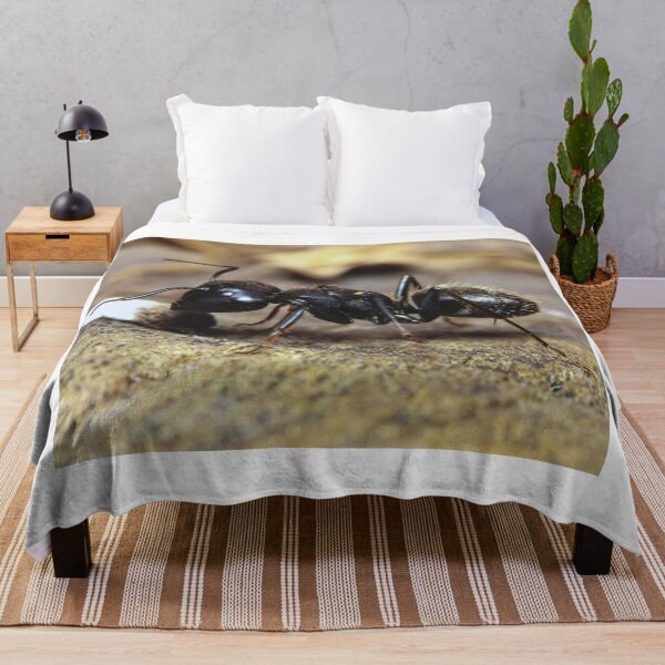 Item preview, ant photo with high resolution quality designed and sold by Allyouneed-2.