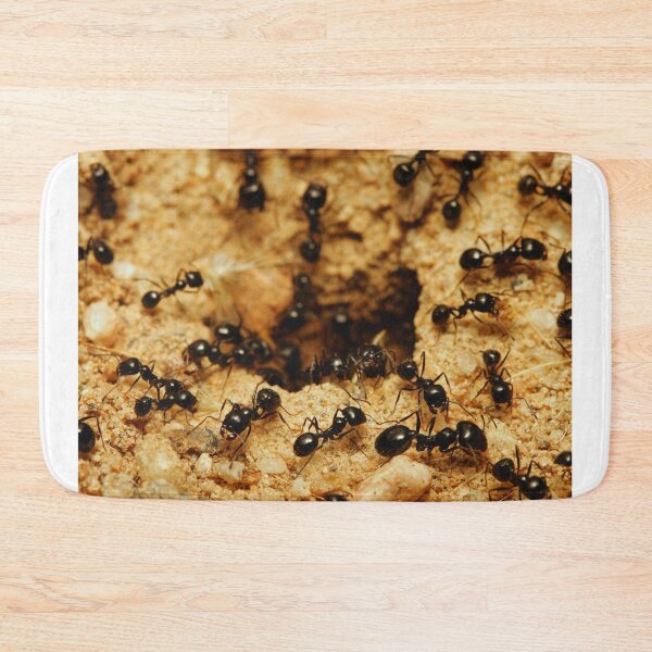 Item preview, ant photo with high resolution quality designed and sold by Allyouneed-2.