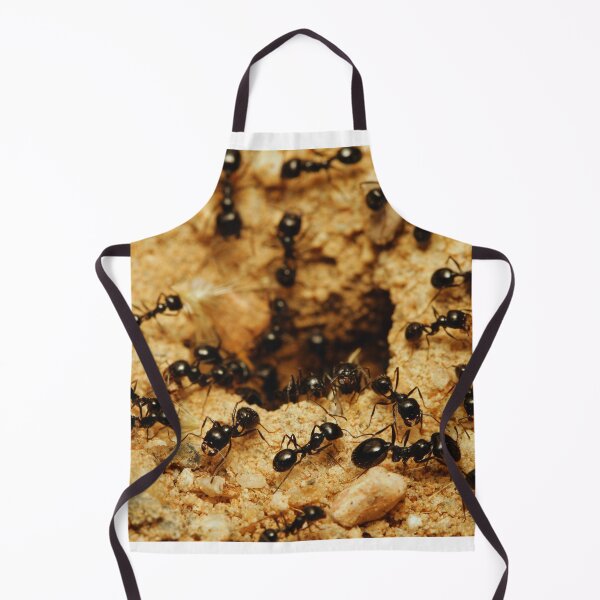 Item preview, ant photo with high resolution quality designed and sold by Allyouneed-2.