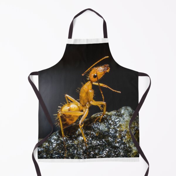 Item preview, ant photo with high resolution quality designed and sold by Allyouneed-2.