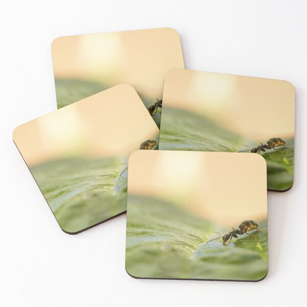 Item preview, ant photo with high resolution quality designed and sold by Allyouneed-2.