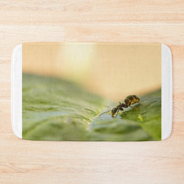 Item preview, ant photo with high resolution quality designed and sold by Allyouneed-2.