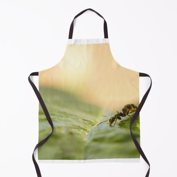 Item preview, ant photo with high resolution quality designed and sold by Allyouneed-2.