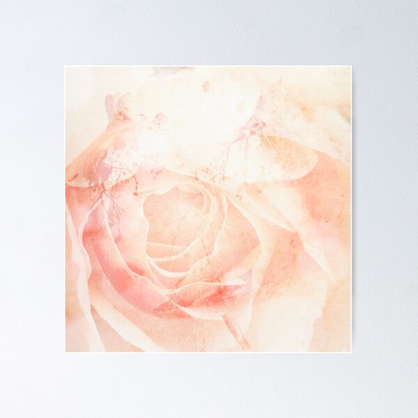 Item preview, Dream Rose designed and sold by lynnebeclu.