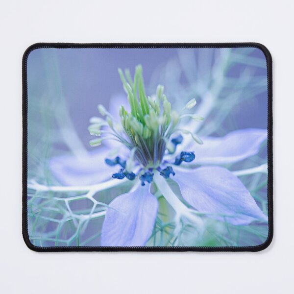 Item preview, Love in a Mist - Nigella damascena designed and sold by imaginethis.