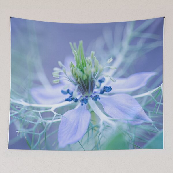 Item preview, Love in a Mist - Nigella damascena designed and sold by imaginethis.
