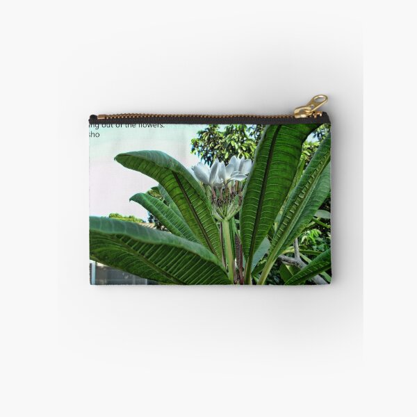 Item preview, I get it Basho designed and sold by GolemAura.
