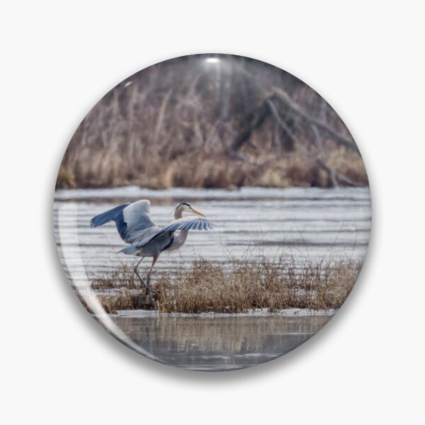 Item preview, Great Blue Heron Wing Stretch designed and sold by mljdwhite.