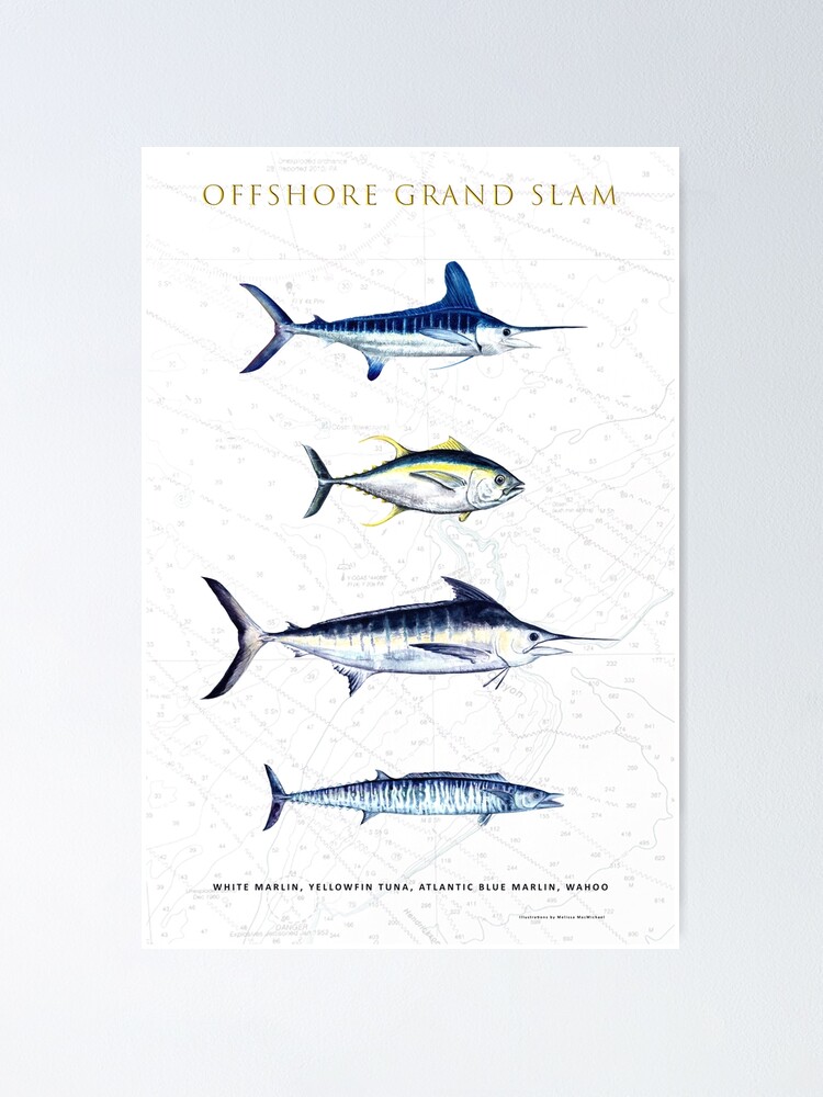 FRAMED 18x24 Tunas and Billfishes of the Americas poster; framed online tuna poster, framed billfish poster, framed marlin poster, framed mackerel